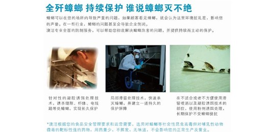 灭蟑螂的防治措施