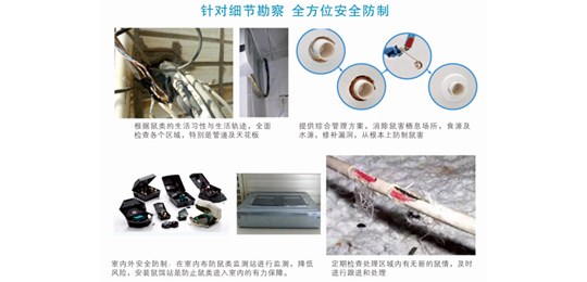 什么是四害?