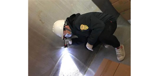 白蚁的主要危害有哪些?