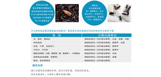 澳洁帮您了解白蚁的危害