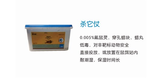 如果家中发现老鼠，又该如何灭鼠呢?